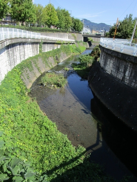 s-IMG_6760.jpg