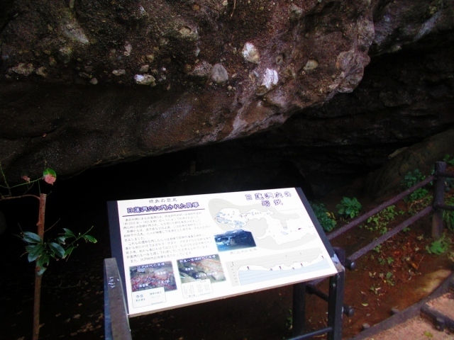 s-IMG_7844.jpg