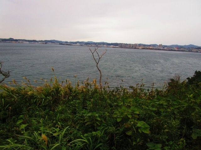 s-IMG_7861.jpg