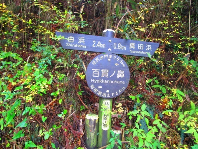 s-IMG_8121.jpg